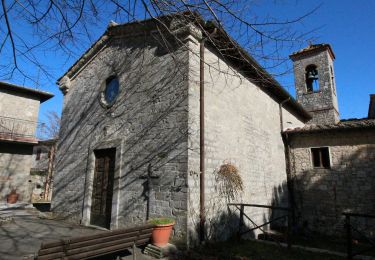 Tour Zu Fuß Greve in Chianti - IT-25 - Photo