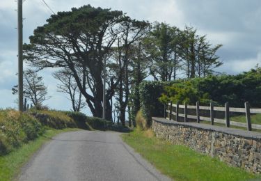 Tocht Te voet West Cork - Cahergal Loop Walk - Photo