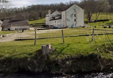 Tour Nordic Walking Perrancey-les-Vieux-Moulins - domaine de Montauban  - Photo