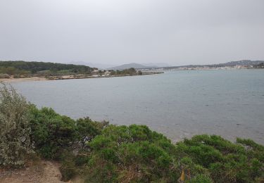 Tocht Stappen Six-Fours-les-Plages - Tour des Embiez - Photo