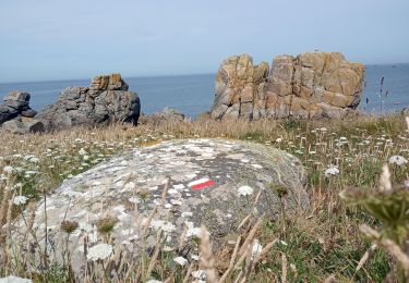 Trail Walking Porspoder - pointe de Garchine  - Photo