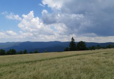 Tocht Te voet  - Ojdula (centru) - Peștera Kolik - Vf. Oituz izvor - Photo