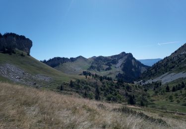 Percorso Marcia Saint-Pierre-de-Chartreuse - Col de la Charmettes_Col de Hurtière_Col de la Sûre_La Sûre_Col de la grande Vache - Photo