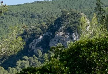 Trail Walking Saint-Zacharie - St zacharie - Photo