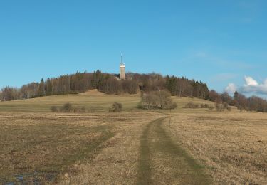 Percorso A piedi Hausen - Rhön-Rundweg Hausen 6 - Photo