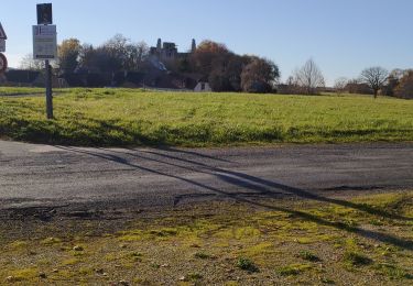 Trail Walking Rouffignac-Saint-Cernin-de-Reilhac - château de l'herm - Photo