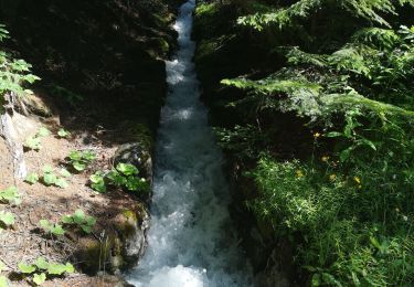 Excursión Senderismo Arbaz - Anzère  - Photo