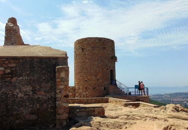 Excursión A pie Cabrera de Mar - SL-C 115 Cabrera de Mar-Castell de Burriac - Photo