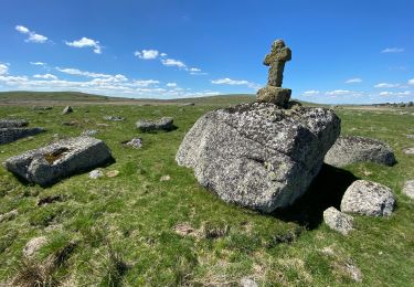 Trail Walking Prinsuéjols-Malbouzon - Usanges tour Monts d’Aubrac Prinsejouls  - Photo
