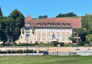 Trail Walking Saint-Nizier-sous-Charlieu - St-Nizier-sous-Charlieu : entre châteaux et collines - Photo