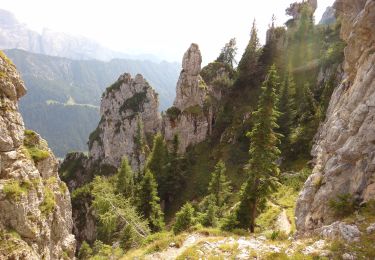 Trail On foot Primiero San Martino di Castrozza - Sentiero delle Regade - Photo