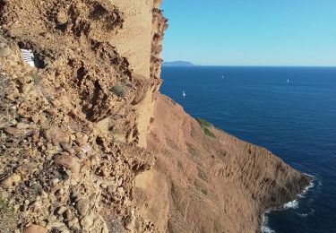 Tour Wandern La Ciotat - la Ciotat parc Mugel - Photo