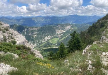 Trail Nordic walking Rosans - Crêtes du raton à partir du col de Pommerol - Photo
