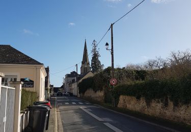 Randonnée Marche Savennières - Savennières - Photo