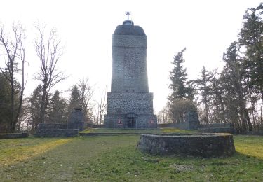 Randonnée A pied Inconnu - Rundwanderweg Darmstadt Ludwigshöhe 1: Herrgottsberg - Weg - Photo