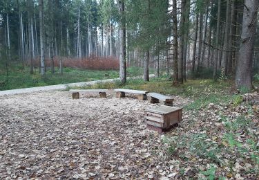 Excursión A pie Jettingen-Scheppach - Rundum bei Glöttweng - Photo