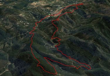 Trail Walking La Garde-Freinet - SityTrail - Fort Freinet-la Garde-Freinet-02-06-23 - Photo