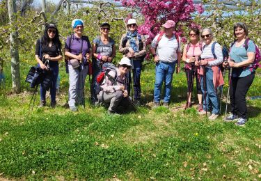 Trail Walking Le Poët - Les Combettes départ le Poet 276 + - Photo