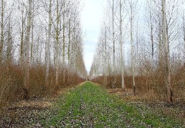 Excursión Senderismo Romilly-sur-Seine - ROMILLY SUR SEINE, le Gué de Vailly  - Photo