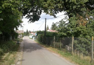 Percorso Bici da strada Paron - 060 SO40 Courtoin # La Belliole-01 - Photo