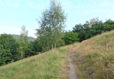 Trail Walking Trooz - Gare Trooz Le Péry La Lonhienne - Photo