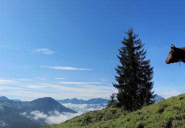 Tour Zu Fuß Gemeinde Kirchdorf in Tirol - koasa_trail-etappe_3 - Photo