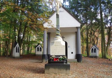 Tour Zu Fuß Nijlen - Stynehofpad - Photo