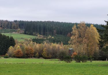 Excursión Senderismo La Roche-en-Ardenne - rando samrée 2-11-2024 - Photo