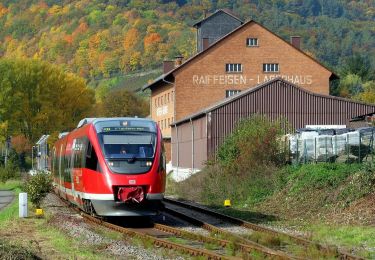 Percorso A piedi Wolfstein - Leienbergweg - Photo