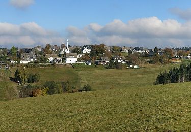 Percorso A piedi Schmallenberg - Schwedensteig - Heidenstrasse - Photo