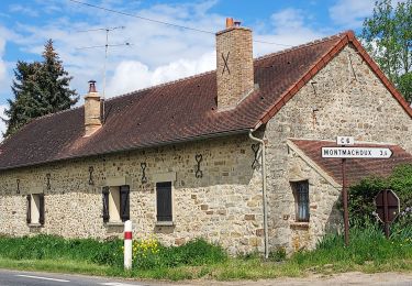 Trail Road bike Paron - 143 NO80 Villeneuve la Guyard # Thoury-Férottes-01 - Photo