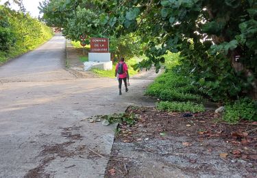 Trail Walking Le Lorrain - Boucle Stade du Lorrain - Photo