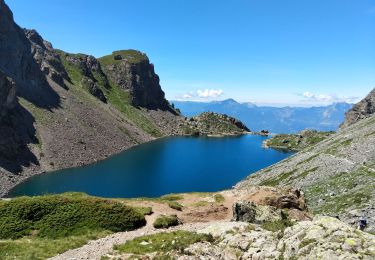 Trail Walking Revel - Lac petit et grand domenon - Photo