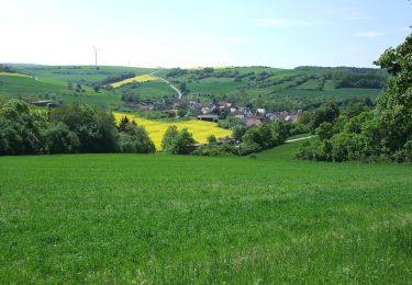 Excursión A pie Bad Mergentheim - Sailbergweg - Photo