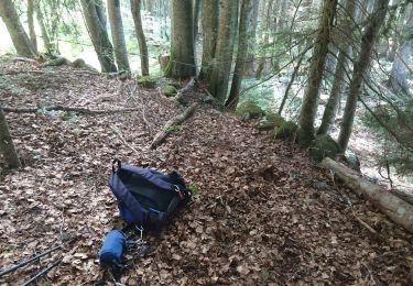 Tocht Stappen Septmoncel les Molunes - 190627 - Jura - GdCermoi - Photo