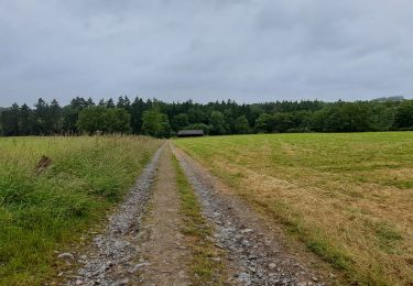 Tocht Stappen Ouffet - Marche ADEPS Ouffet 2024 - Photo