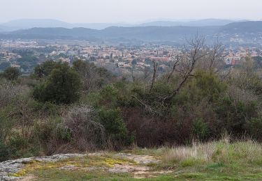 Percorso Marcia Le Muy - LE MUY - LE ROCHER DE ROQUEBRUNE - Photo