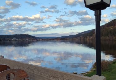 Percorso Marcia Titisee-Neustadt - promenade autour du lac de Titisee, 31.10.22 - Photo