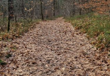 Tocht Stappen Attert - tontelange - Photo