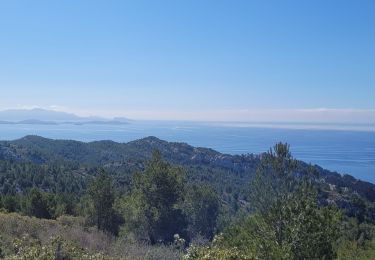 Tocht Stappen Ensuès-la-Redonne - Mejean - Photo