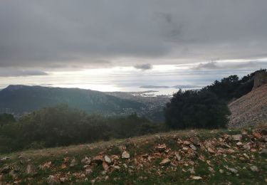 Trail Walking Évenos - col de garde au mont caume - Photo