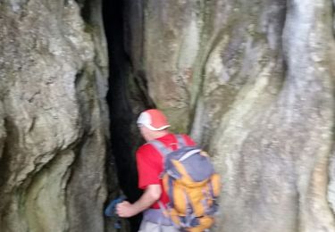 Percorso Marcia Plan-d'Aups-Sainte-Baume - Sainte baume grotte des oeufs et notre dame des adieux - Photo