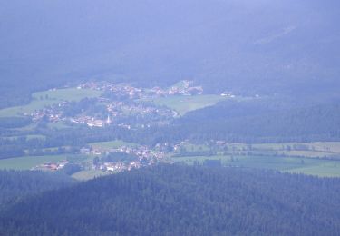 Tocht Te voet Bodenmais - Wanderweg 2a (Grün) - Photo