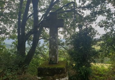 Randonnée Marche Viala-du-Tarn - st symphorien sud - Photo