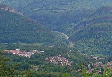 Randonnée Marche Coteaux du Lizon - cutura Belvédère de Scia  - Photo