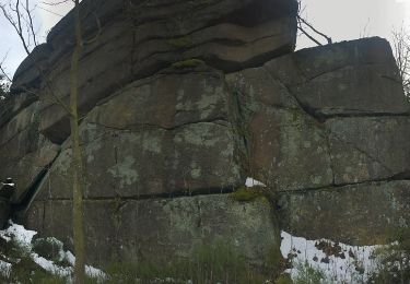 Tour Zu Fuß Zell im Fichtelgebirge - Philosophenweg - Photo