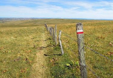 Trail Walking Nasbinals - Vendredi 10 mai - Photo