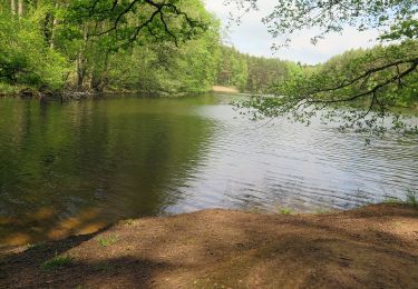 Randonnée A pied Oberhaid - Oberhaid Vogelherdrunde - Photo