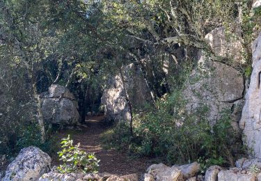 Trail Walking Corconne - CORCONNE  - Photo
