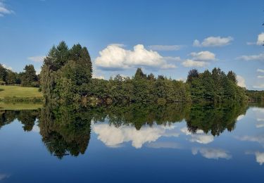 Tour Wandern Weismes - robertville . barrage . nez de napoléon.  reinhardstein . barrage . pont . robertville - Photo